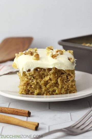 A slice of zucchini spice cake on a white plate.