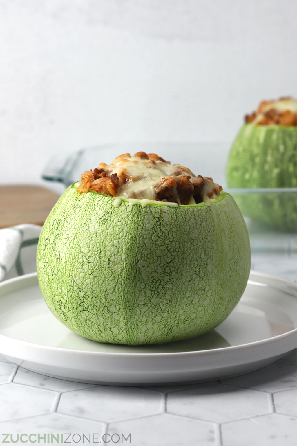 Stuffed Round Zucchini Zucchini Zone stuffed-round-zucchini-zucchini-zone